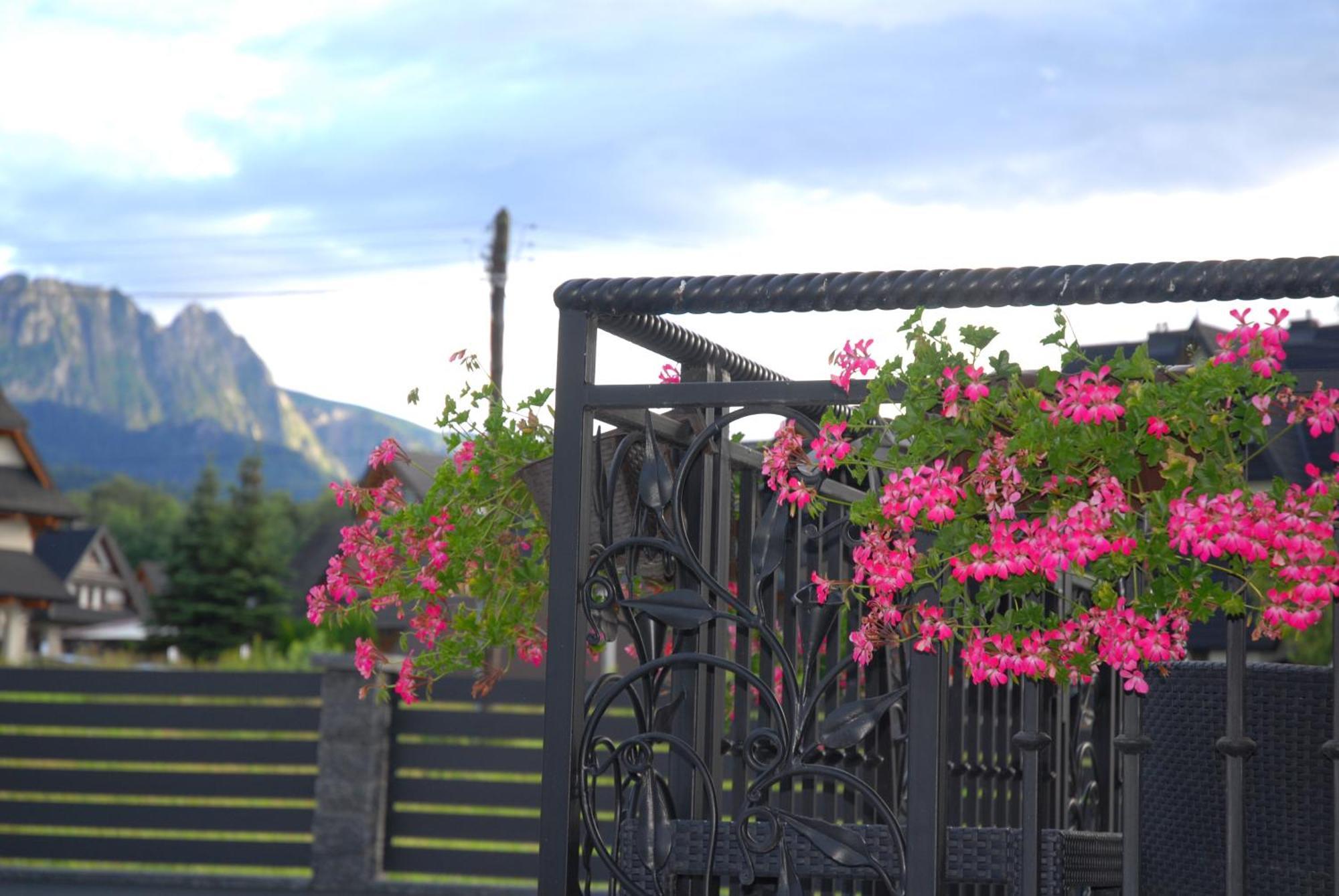 "Czarna Turnia "Zakopane Bed & Breakfast Exterior photo