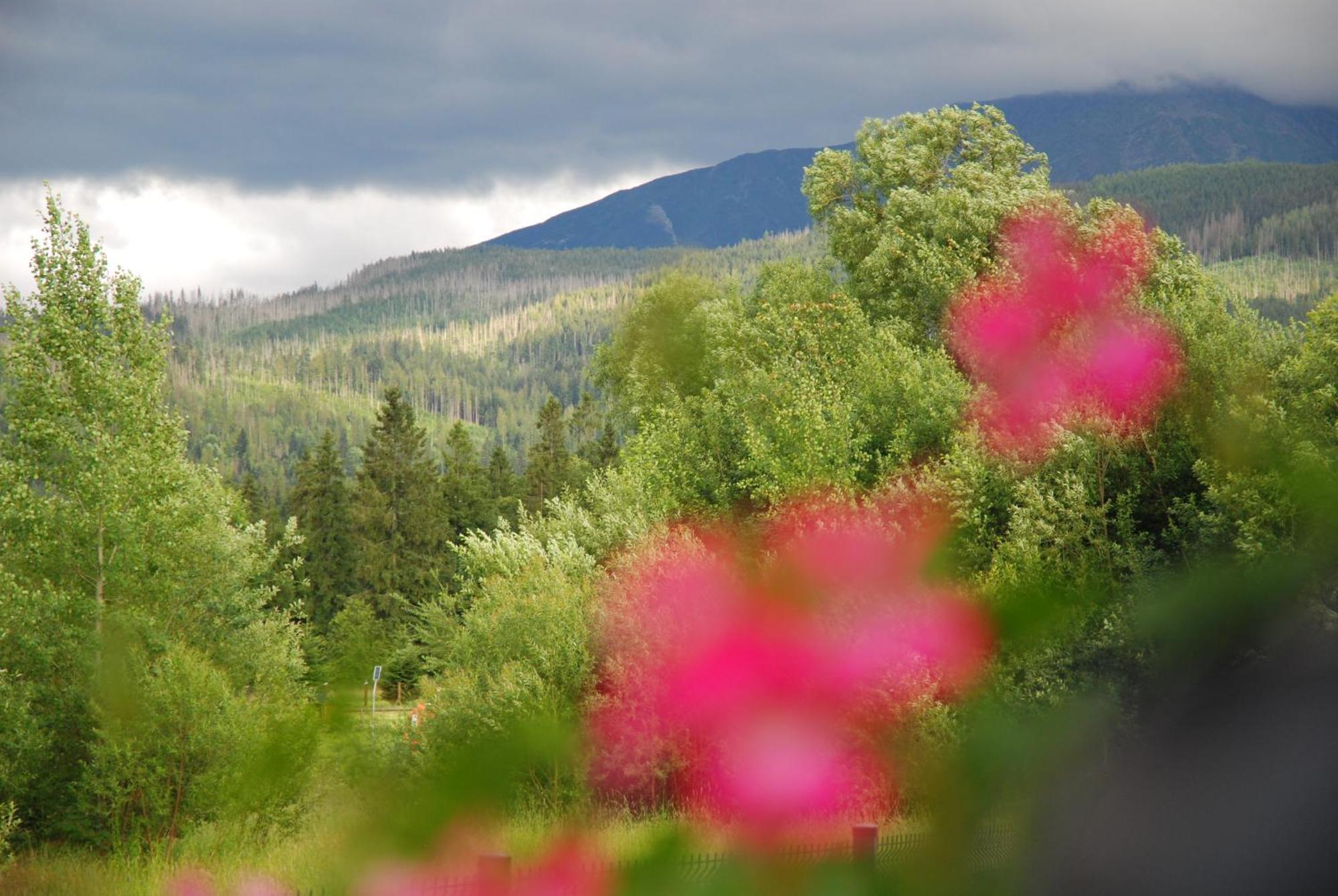 "Czarna Turnia "Zakopane Bed & Breakfast Exterior photo